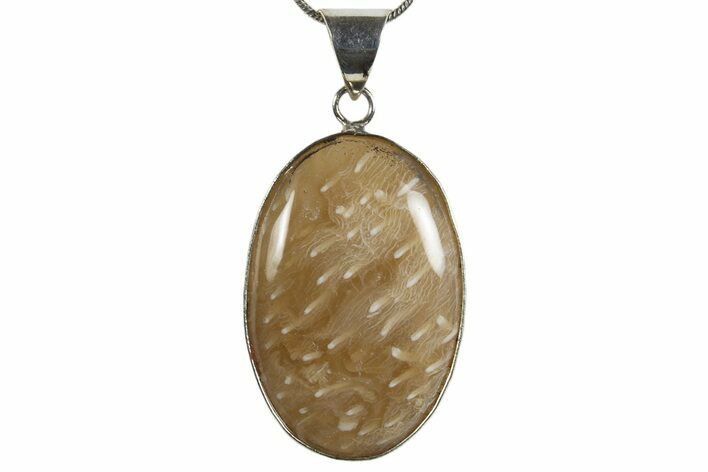 Polished Indonesian Fossil Coral Pendant (Necklace) #345282